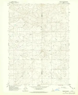 Burley NW ID topo map, 1:24000 Scale, 7.5 X 7.5 Minute, Historical, 1964, Updated 1965, 26.8 x 22 in