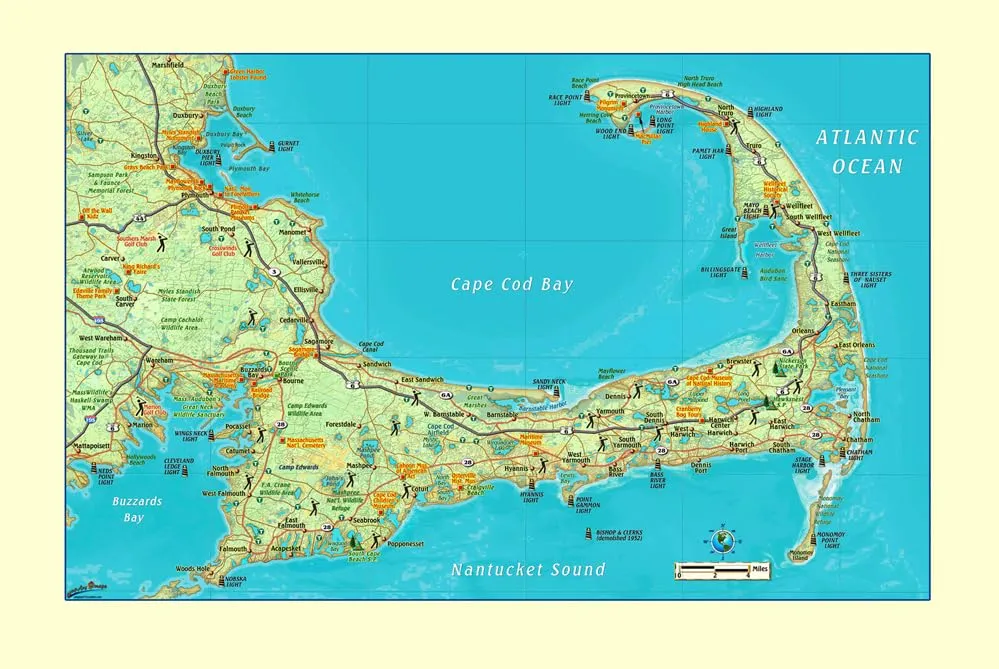 Cape Cod 33" × 21" Wall Map Paper/Non-Laminated