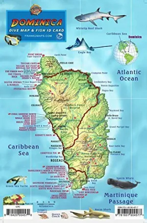 Dominica Dive Map & Coral Reef Creatures Guide Franko Maps Laminated Fish Card by Franko Maps Ltd. (2015-08-01)