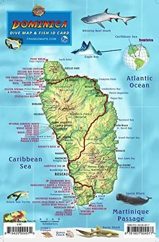 Dominica Dive Map & Coral Reef Creatures Guide Franko Maps Laminated Fish Card by Franko Maps Ltd. (2015-08-01)