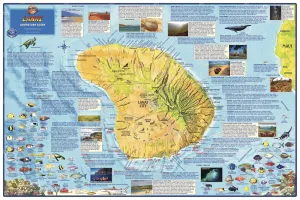 Hawaii Lanai Wall Map by Franko