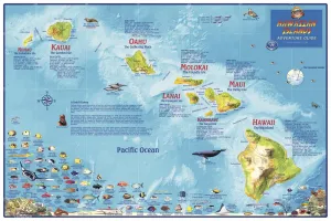 Hawaiian Islands Wall Map by Franko