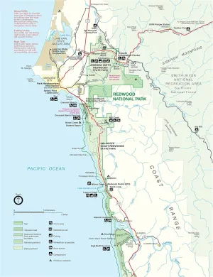 Home Comforts Redwood National and State Parks - North Detail Map - Redwood National and State Parks - Vivid Imagery Laminated Poster Print - 20 Inch by 30 Inch Laminated Poster With Bright Colors