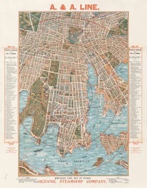 Oceanic Steamship Wall Map of Sydney (Port Jackson) published 1905