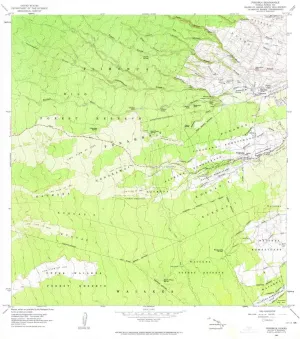 Piihonua HI topo map, 1:24000 Scale, 7.5 X 7.5 Minute, Historical, 1963, Updated 1964, 26.8 x 24.5 in