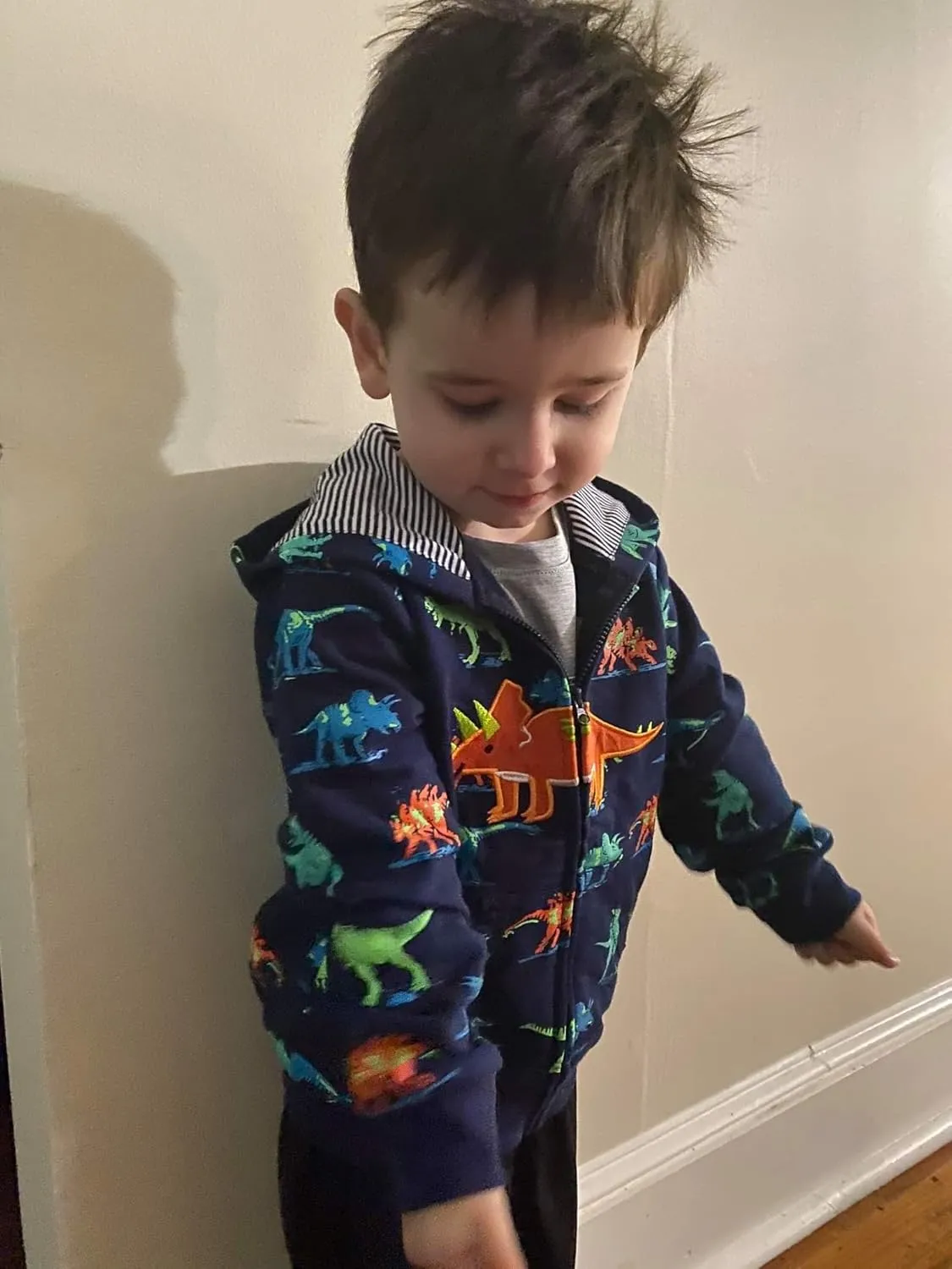Popshion Boys Toddler Cartoon Dinosaur Hoodies Jacket Cool Long Sleeve Zipper Hooded Sport Sweatshirt Coat for Kids 1-7 Years