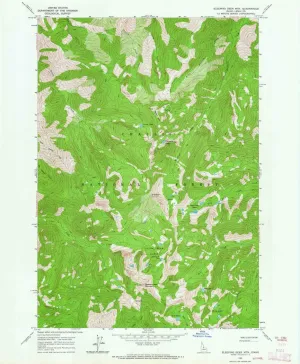 Sleeping Deer Mountain ID topo map, 1:24000 Scale, 7.5 X 7.5 Minute, Historical, 1963, Updated 1964, 26.7 x 22 in