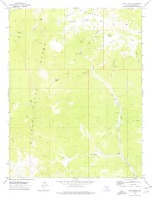 Trail Canyon NV topo map, 1:24000 Scale, 7.5 X 7.5 Minute, Historical, 1973, Updated 1977, 26.8 x 22 in