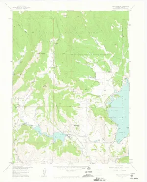 Trail Mountain CO topo map, 1:24000 Scale, 7.5 X 7.5 Minute, Historical, 1957, Updated 1963, 27.3 x 22 in