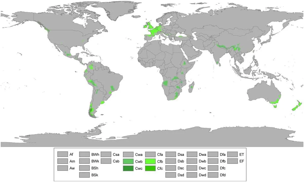 Wall Art Impact 39"x24" Poster Climate Map - Oceanic climate [Laminated]