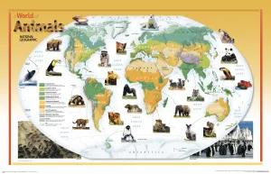 World of Animals Wall Map National Geographic 969 x 627 mm